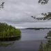green-leafed trees near body of water